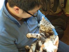 -李小姐の猫咖啡馆(五角场店)