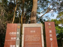 -梧桐山风景名胜区