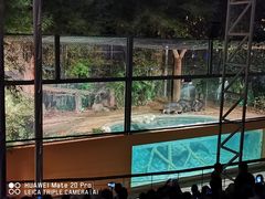 -清迈夜间动物园