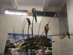 -西安秦岭野生动物园