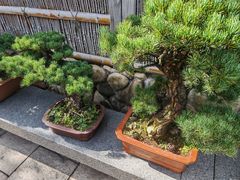 -龙华素斋(龙华路店)