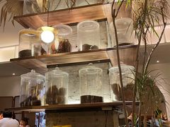 -来龙里 精致 东南亚餐室(万象城店)