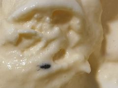 -二斗栗子(黄河道店)