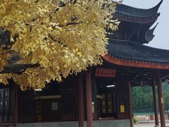 -广东圆玄道观