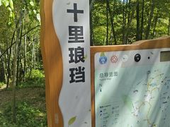 -十里琅珰