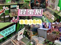 -正佳雨林生态植物园