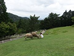 -神户市立六甲山牧场