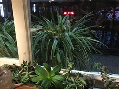 -小世界西餐厅(建国门店)