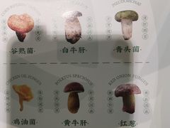 -滇菌王 · 野生菌山宴(银海店)