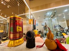 -momokira米努特·德文卷毛猫·棉花面纱犬