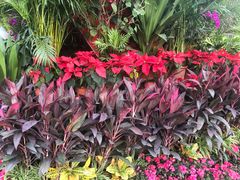 -重庆市江北嘴中央商务区中央公园