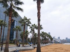 -金沙湖公园