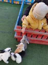 -萌宠亲子动物乐园(槐房万达店)