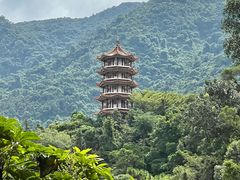 -深圳仙湖植物园