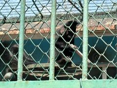-秦皇岛野生动物园