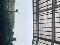-成都高新创新角度网球俱乐部