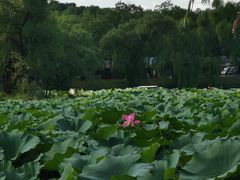 -承德避暑山庄景区