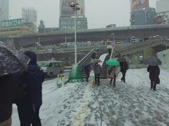 -涩谷全向十字路口