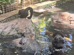 -南宫五洲植物乐园