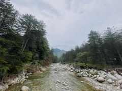 -黑河国家森林公园