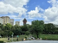 -塔子山公园
