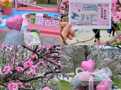 -武汉大学-樱园
