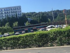 -狮麟驾校
