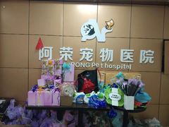 -阿荣24H宠物医院·综合型转诊中心·CT·核磁影像中心