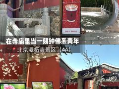 -潭柘寺景区