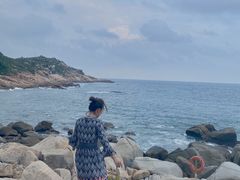 -广东惠东海龟国家级自然保护区