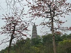 -顺峰山公园