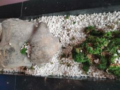 -马家斑.鲜鱼火锅(松湖万科店)