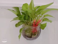 -灰姑娘美甲美睫馆