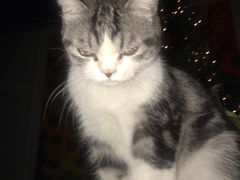 -一品格美术·中考高中成人美术培训