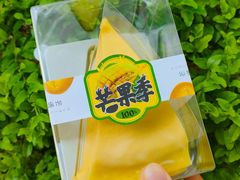 -卡吉诺动物奶油生日蛋糕(东明路店)