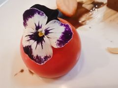 -Terra Rossa(陆家嘴中心店)