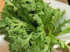 -洪氏嗨捞·猪肚鸡火锅(阳光天地店)