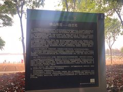 -顺峰山公园