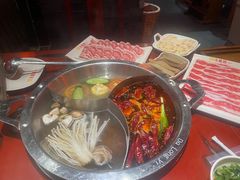-大龙燚·旷野鲜火锅(广州首店)