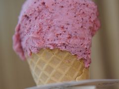 -野人牧坊Gelato(天津南开大悦城店)