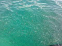 android_upload_pic-东姑阿都拉曼海洋公园