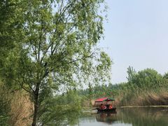 -微山湖红荷湿地景区