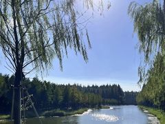 -黄海国家森林公园