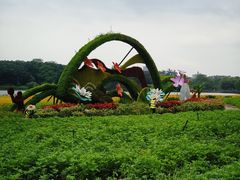 -海珠湖公园