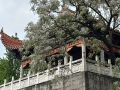 -南岳大庙