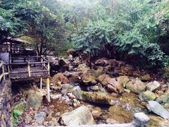 -天门沟九州驿站树上汤泉