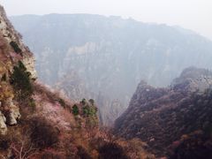 -神农山景区