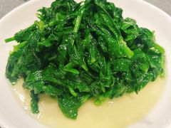 -新吉士·上海菜(浦东LCM置汇旭辉店)