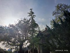 -中国地质博物馆