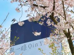 -龙美术馆(西岸馆)